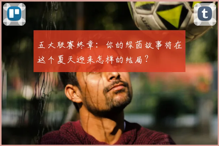 五大联赛终章:你的绿茵故事将在这个夏天迎来怎样的结局?